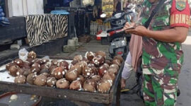 Babinsa Jayapura Turun ke Pasar Pastikan Harga Bahan Pokok Tetap Terkendali