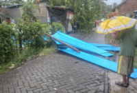 Hujan dan Angin Kencang Terjang Banyuwangi