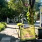 Farhan Hentikan Izin Proyek BRT Bandung hingga Perbaikan Dituntaskan