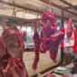Harga Daging Australia Melonjak