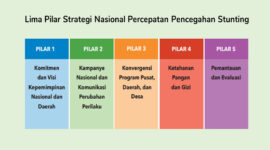Strategi Percepatan Penurunan Stunting Skala Nasional Terus Digencarkan Hingga ke Pelosok