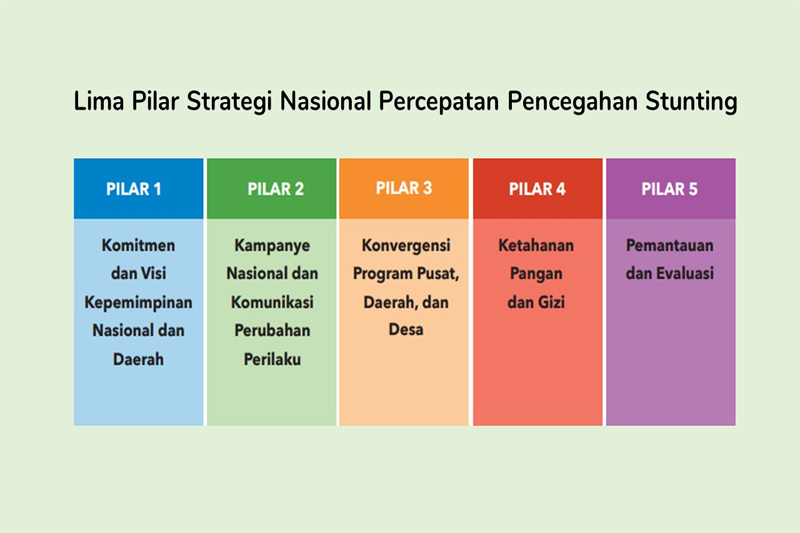 Strategi Percepatan Penurunan Stunting Skala Nasional Terus Digencarkan Hingga ke Pelosok
