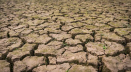 Negara Berkembang Terancam Krisis Energi dan Pangan Akibat Gejolak Global