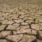 Negara Berkembang Terancam Krisis Energi dan Pangan Akibat Gejolak Global