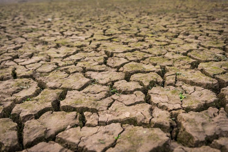 Negara Berkembang Terancam Krisis Energi dan Pangan Akibat Gejolak Global