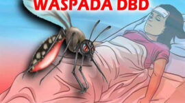 Waspada Kasus DBD dan Penyakit Pernapasan Meningkat Pesat Selama Musim Hujan
