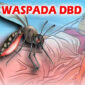 Waspada Kasus DBD dan Penyakit Pernapasan Meningkat Pesat Selama Musim Hujan